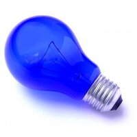 Лампа накаливания вольфрамовая (синяя) тип А55 С 230-60 (Е27)